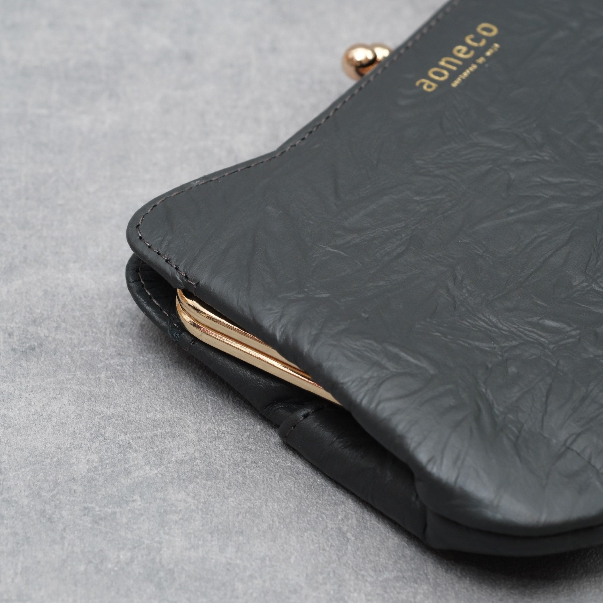 aoneco an001