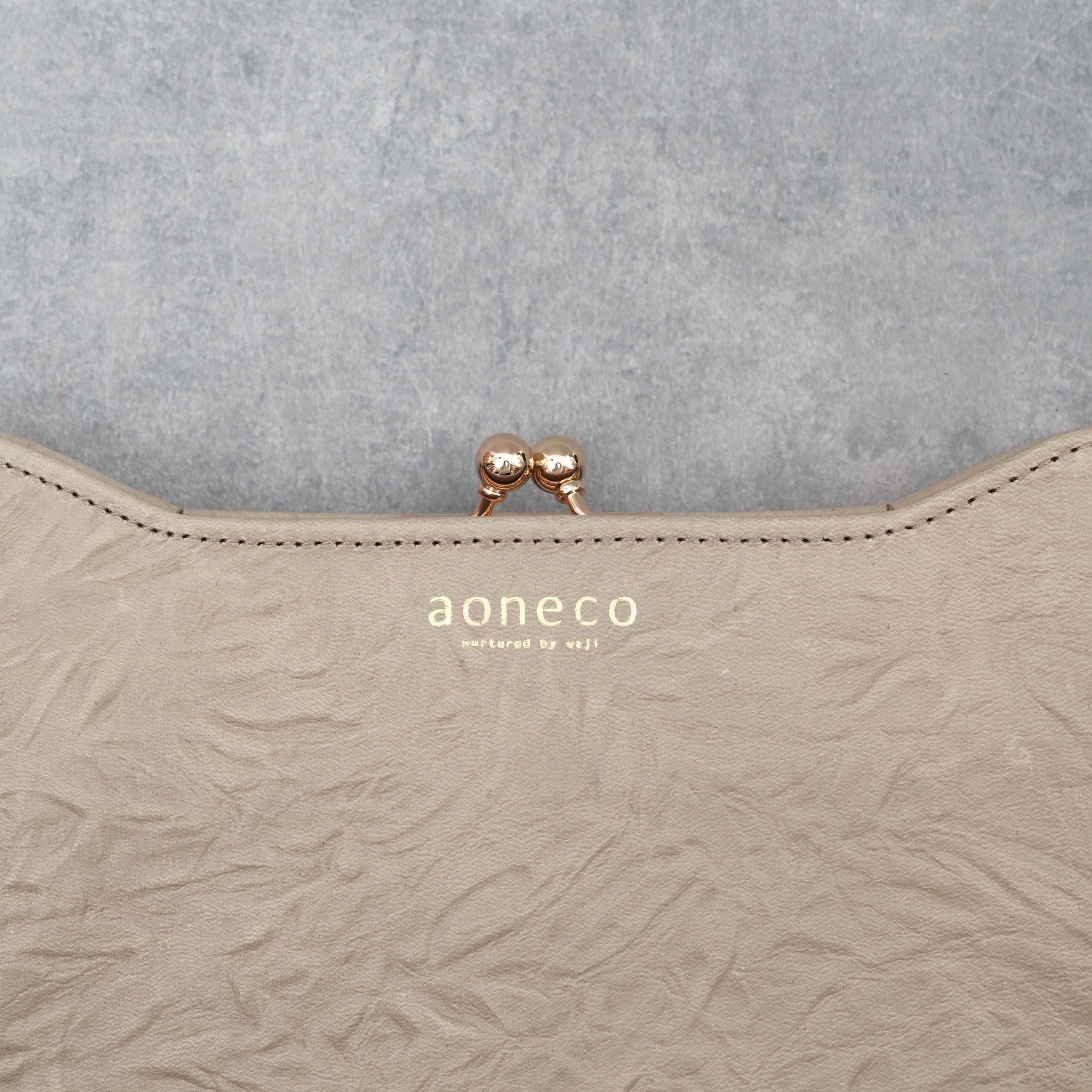 aoneco an001
