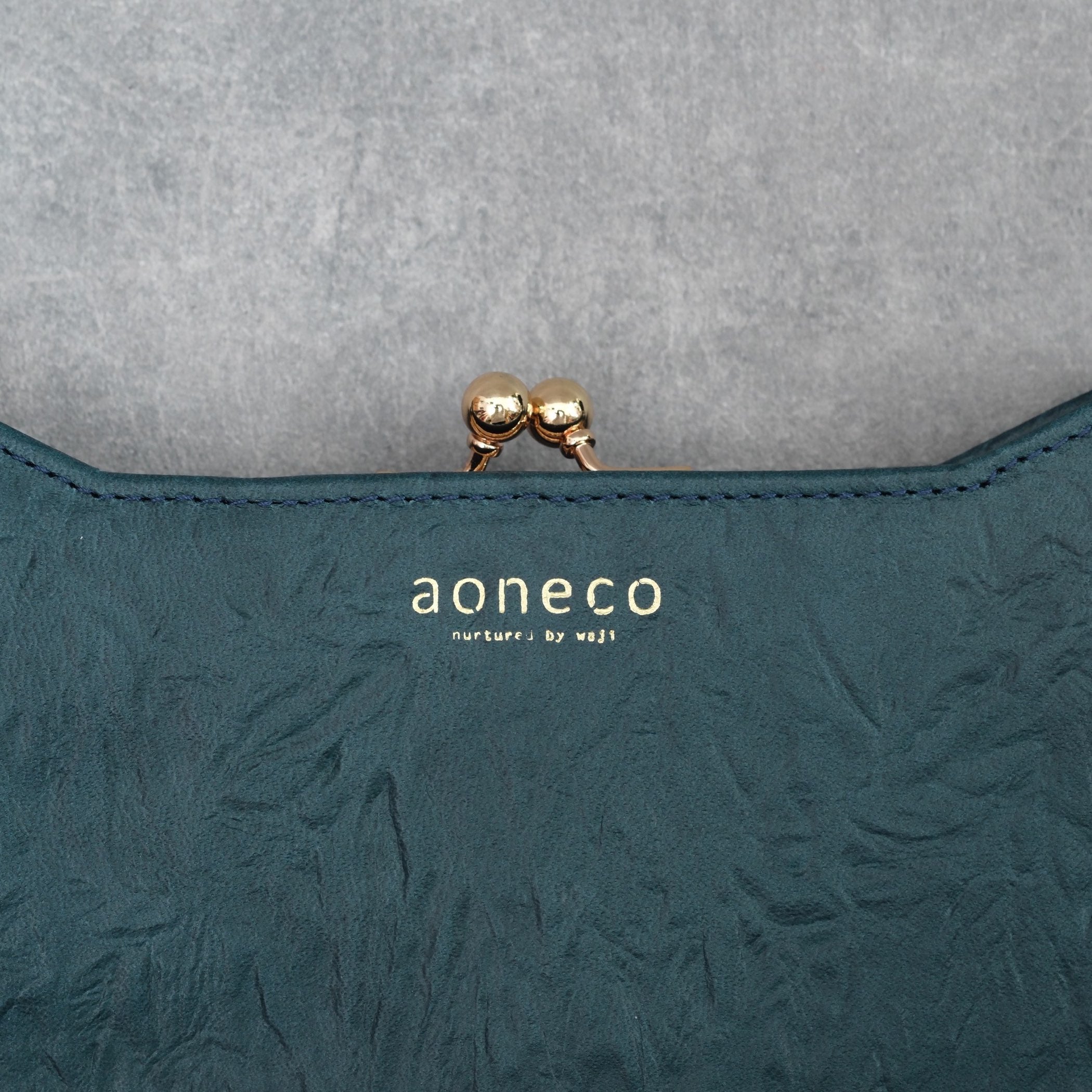 aoneco an001