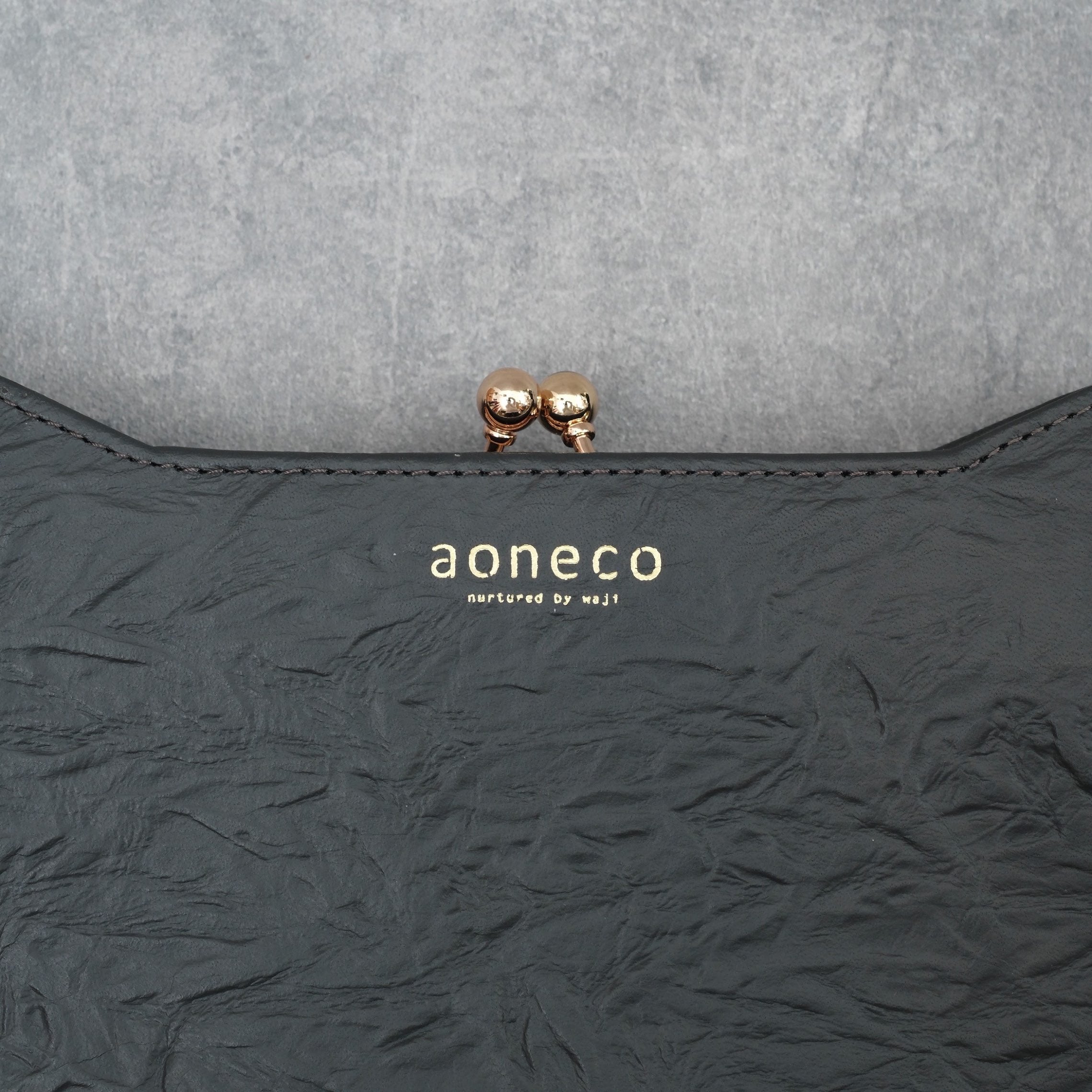 aoneco an001