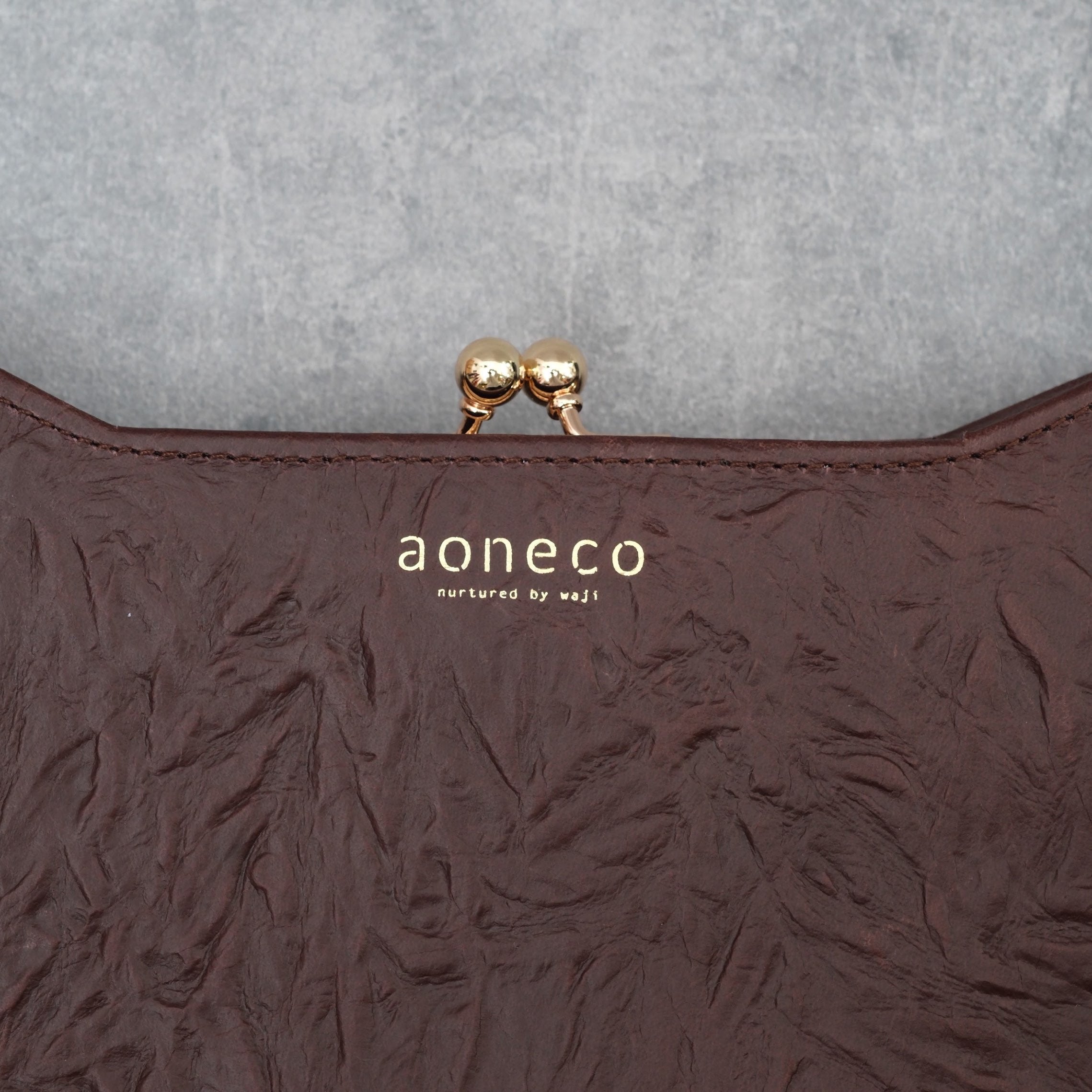 aoneco an001