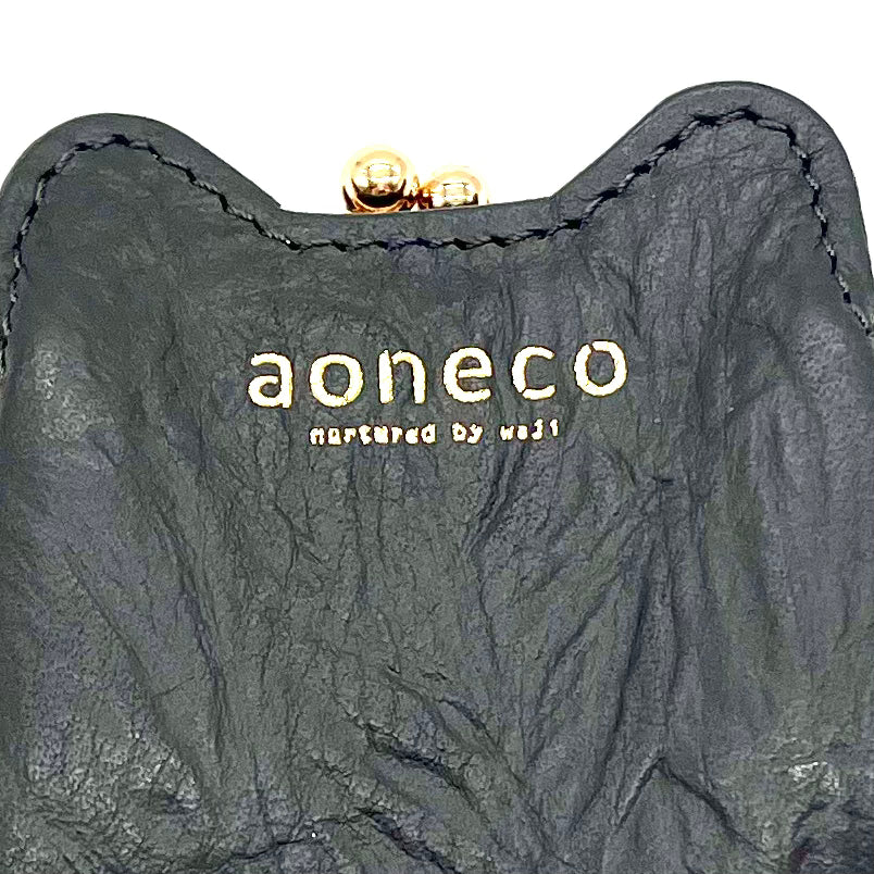 aoneco an020